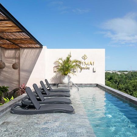 Queen Bed Suite, Infinity Pool & Fast Wifi, Nespresso & Netflix Tulum Exteriör bild